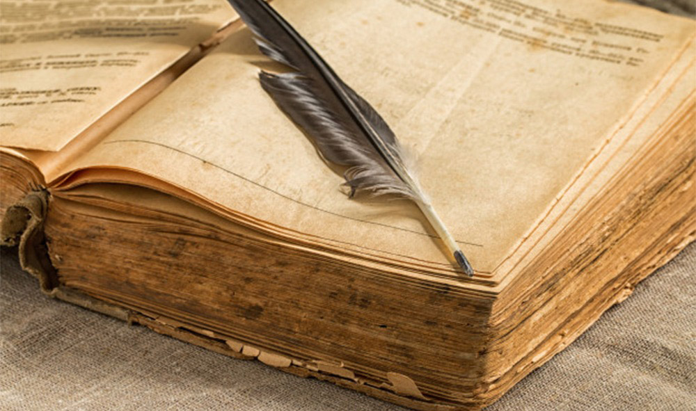 ماذا تعرف عن القطن المصري ؟ تعرف على تاريخ القطن المصري